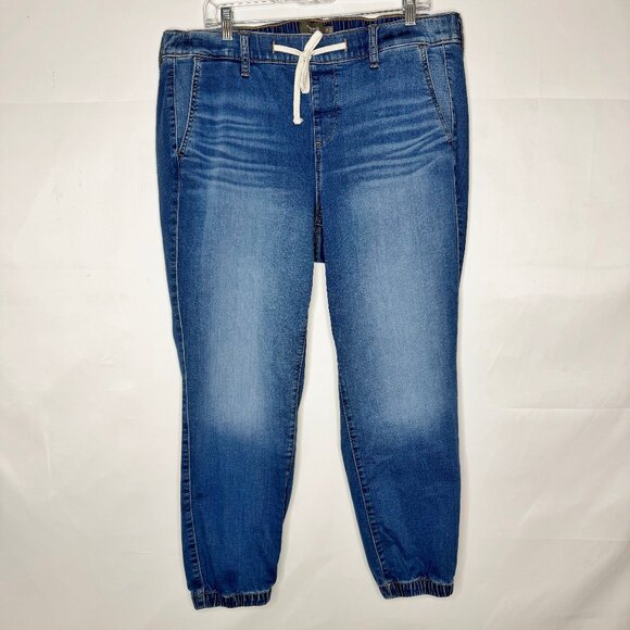 Torrid Woman’s Jeans 2R 20/22 Crop Pull On Elastic Ankle & Waist High Rise Denim - Picture 1 of 9